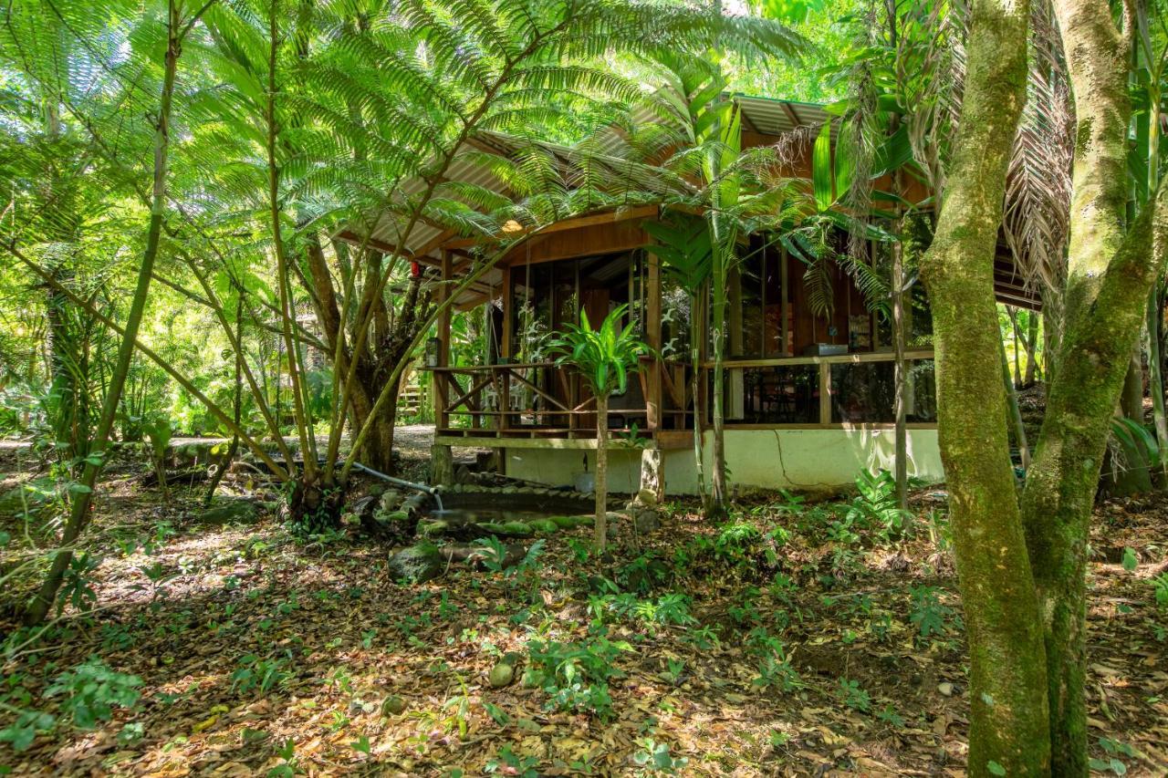 Cabanas Del Lago La Fortuna Kültér fotó