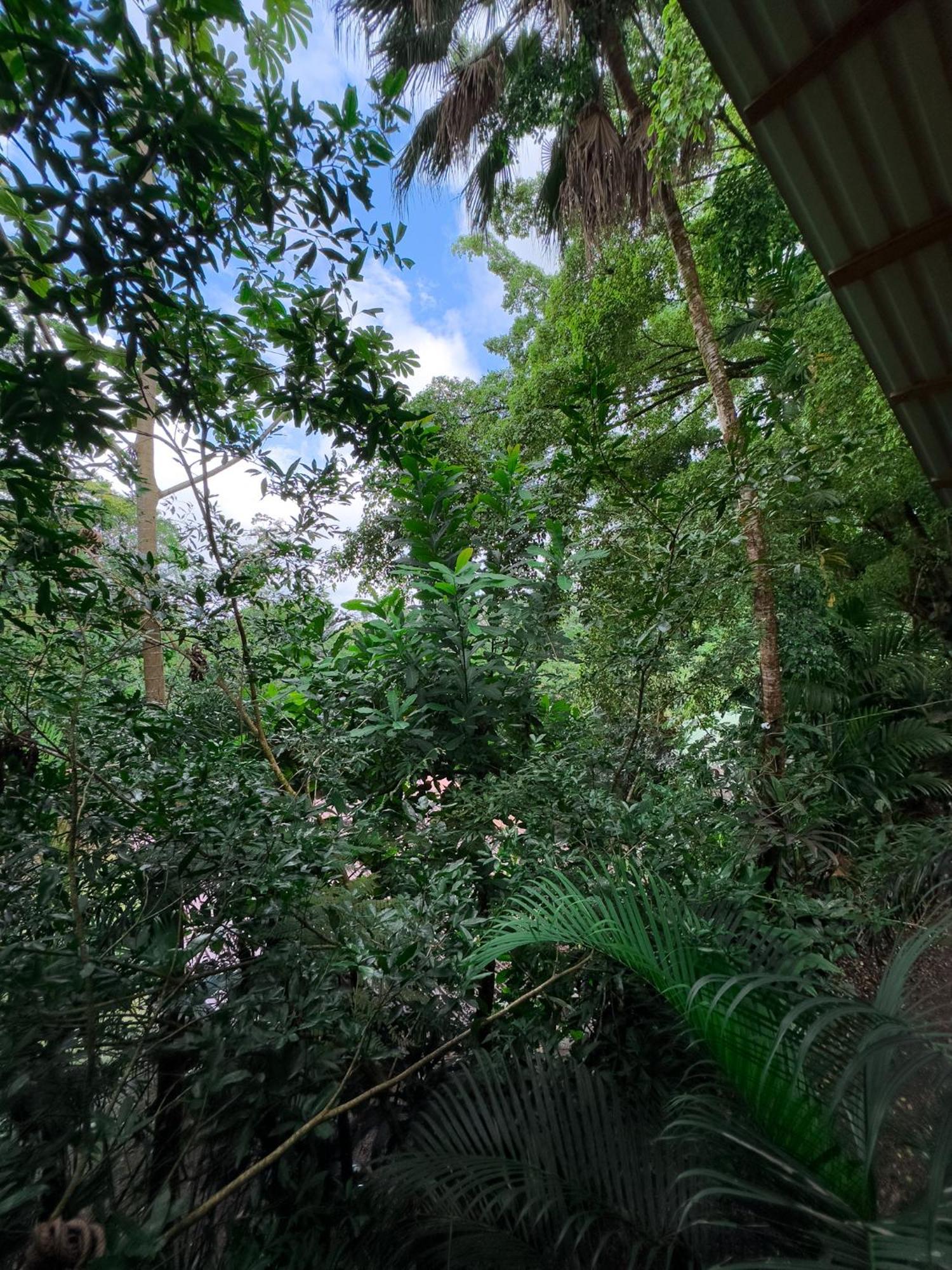 Cabanas Del Lago La Fortuna Kültér fotó